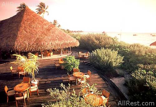 Coco Palm Resort & Spa 9